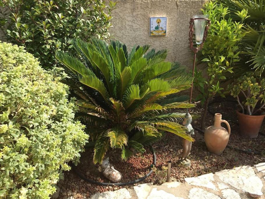 Au Pied Du Massif Des Costes Villa Pelissanne Ngoại thất bức ảnh